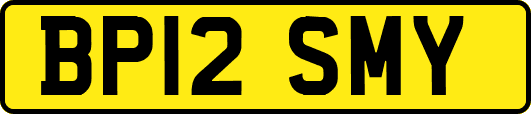 BP12SMY
