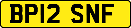 BP12SNF