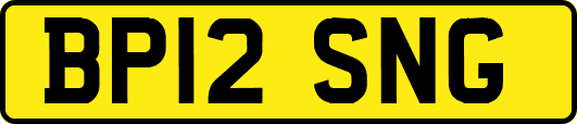 BP12SNG