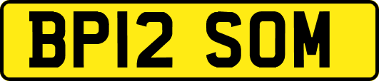 BP12SOM
