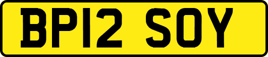 BP12SOY