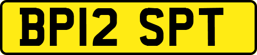 BP12SPT