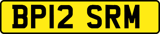 BP12SRM