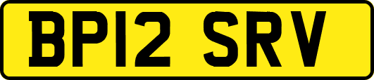 BP12SRV