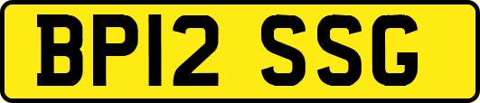 BP12SSG