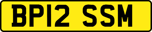 BP12SSM
