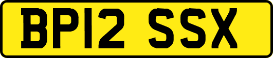 BP12SSX