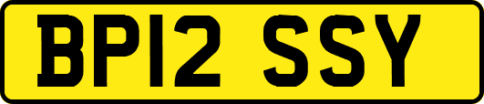 BP12SSY