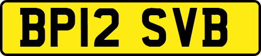 BP12SVB
