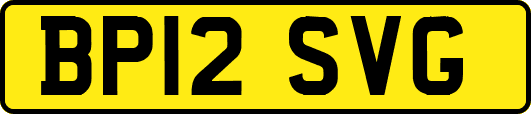 BP12SVG