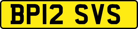 BP12SVS