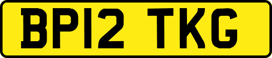 BP12TKG