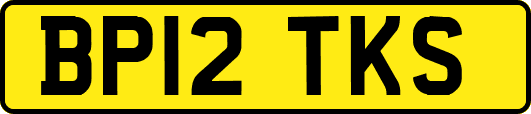 BP12TKS