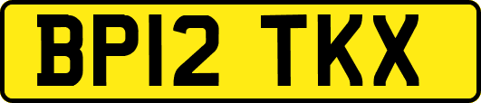 BP12TKX