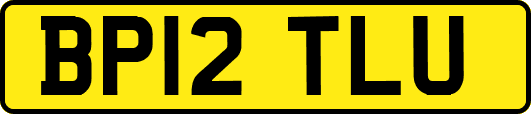 BP12TLU