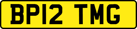 BP12TMG