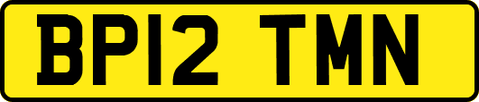 BP12TMN
