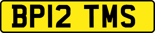 BP12TMS