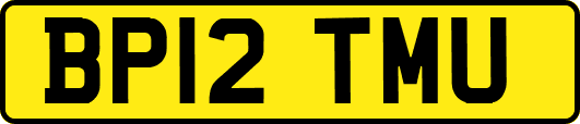 BP12TMU