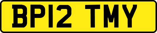 BP12TMY