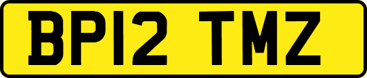 BP12TMZ