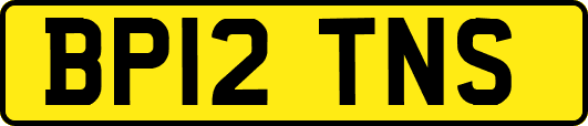 BP12TNS