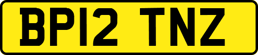 BP12TNZ
