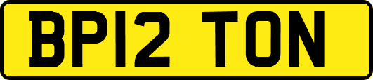 BP12TON