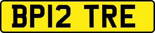 BP12TRE