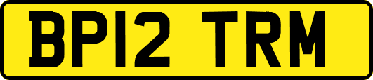 BP12TRM