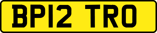 BP12TRO