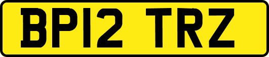 BP12TRZ