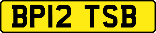 BP12TSB