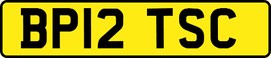 BP12TSC
