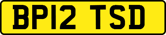 BP12TSD