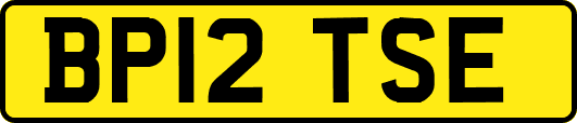 BP12TSE