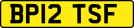 BP12TSF