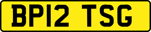 BP12TSG