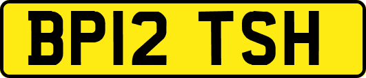 BP12TSH