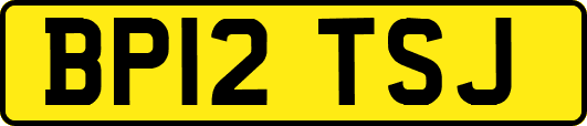 BP12TSJ