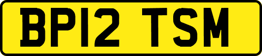 BP12TSM