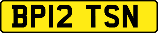 BP12TSN