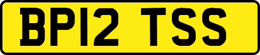 BP12TSS