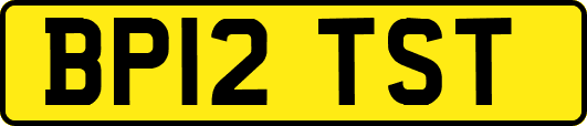BP12TST