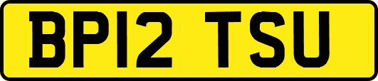 BP12TSU