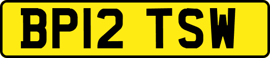 BP12TSW