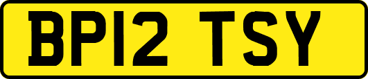 BP12TSY