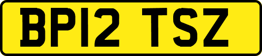 BP12TSZ