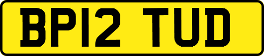 BP12TUD