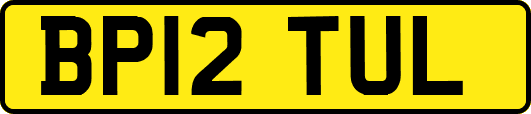 BP12TUL